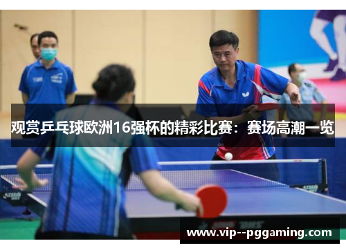观赏乒乓球欧洲16强杯的精彩比赛：赛场高潮一览