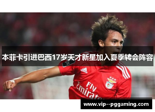 本菲卡引进巴西17岁天才新星加入夏季转会阵容