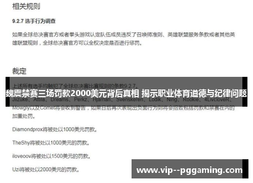 魏震禁赛三场罚款2000美元背后真相 揭示职业体育道德与纪律问题
