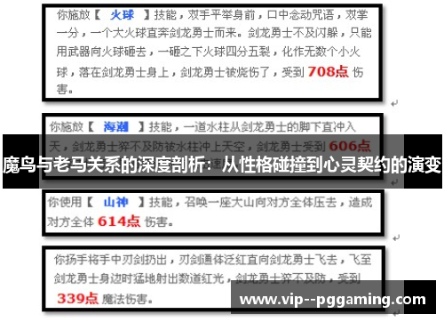 魔鸟与老马关系的深度剖析：从性格碰撞到心灵契约的演变